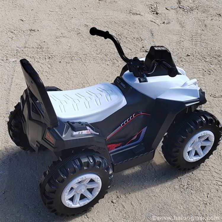 Electric Rechargeable Ride on Car